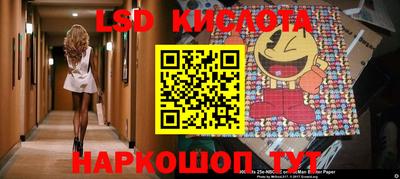 гидропоника Гатчина