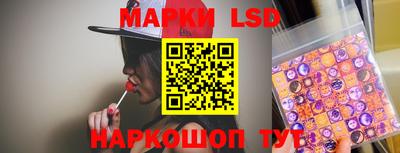 гидропоника Гатчина