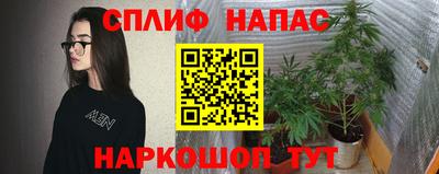 гидропоника Гатчина