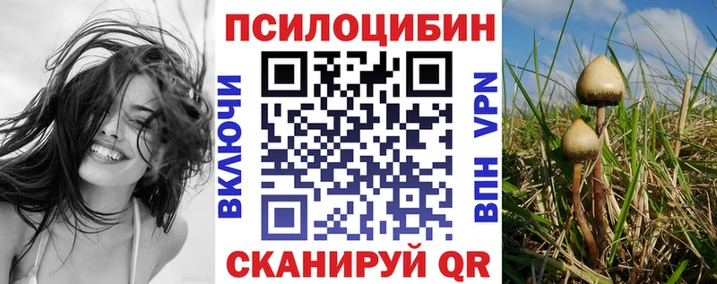 блэк спрут зеркало  нарко площадка Telegram  Галлюциногенные грибы мухоморы  где купить наркотик  Мурманск 