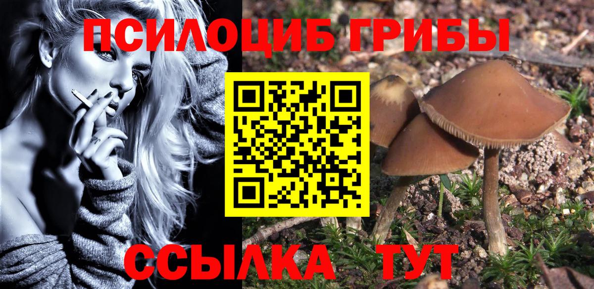 Псилоцибиновые грибы MAGIC MUSHROOMS Мурманск